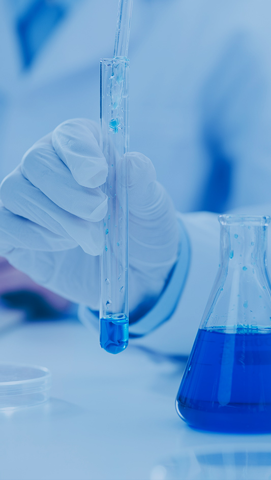 BG大游·(集团)视讯官方网站